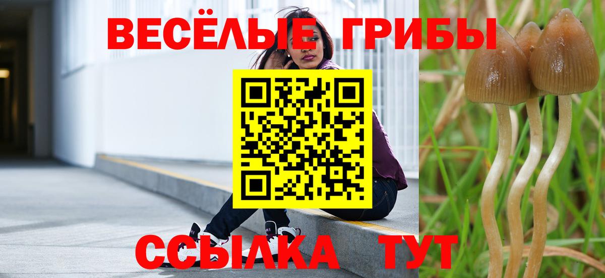 Галлюциногенные грибы мухоморы Хабаровск